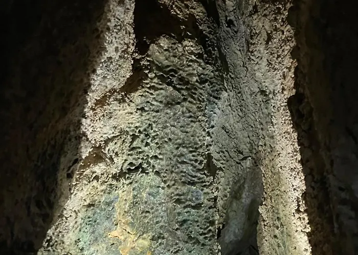 Bakonyi Porta